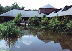 Phase II Building