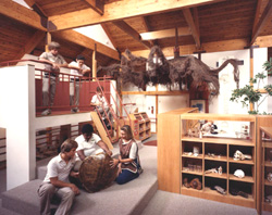 Discovery Loft