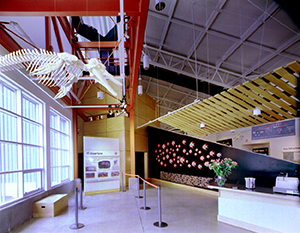 Entry  /  Ticketing